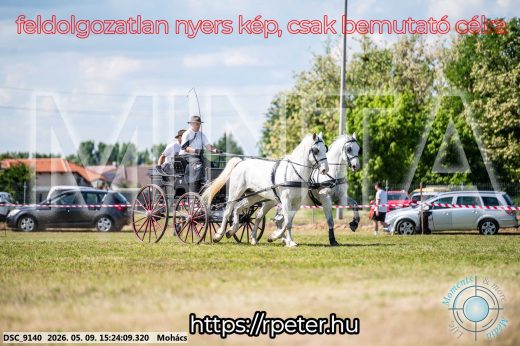 Mintakép 20260509-886