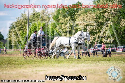 Mintakép 20260509-888