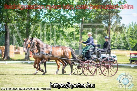 Mintakép 20260612-402