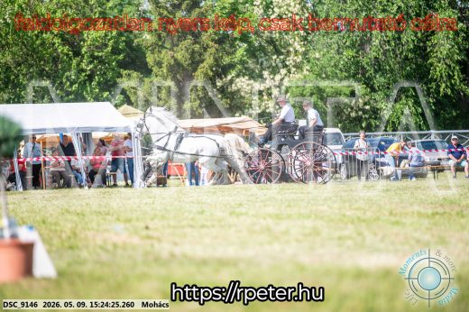 Mintakép 20260509-891