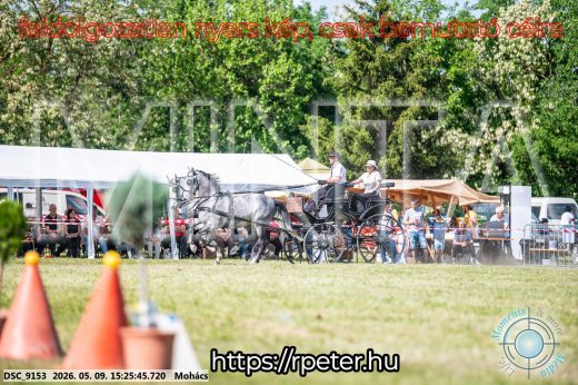 Mintakép 20260509-898