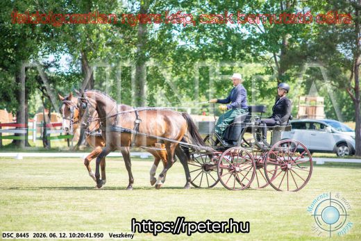 Mintakép 20260612-403