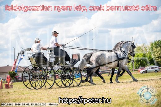 Mintakép 20260509-902