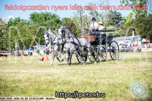 Mintakép 20260509-904