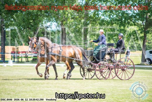 Mintakép 20260612-404