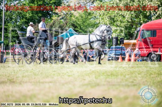Mintakép 20260509-911