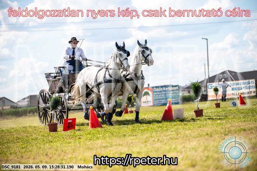 Mintakép 20260509-918