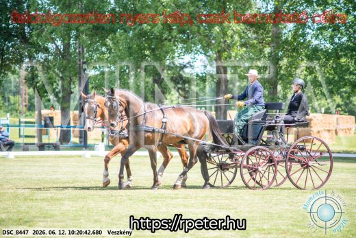 Mintakép 20260612-405