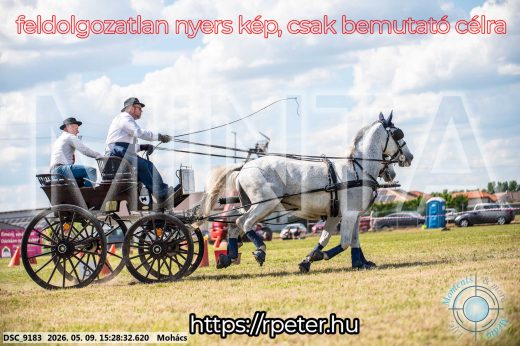 Mintakép 20260509-920