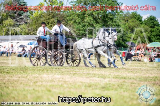Mintakép 20260509-922