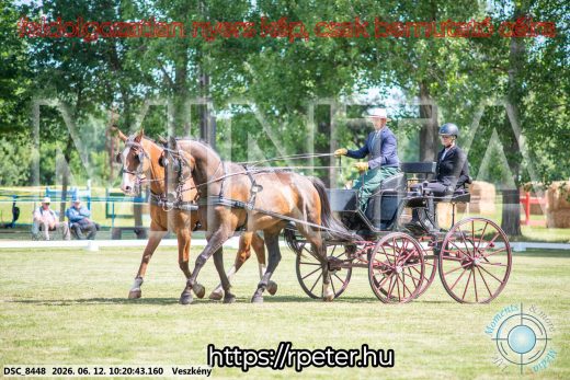 Mintakép 20260612-406