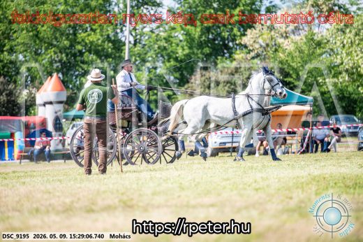 Mintakép 20260509-930