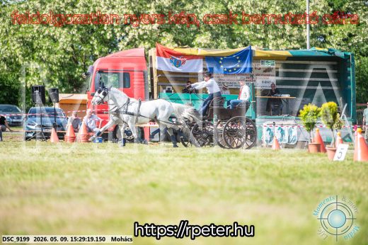 Mintakép 20260509-933