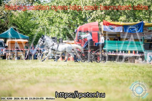 Mintakép 20260509-934