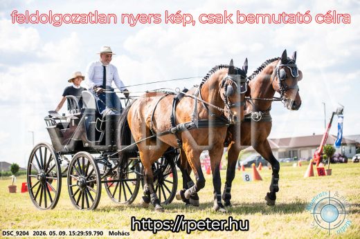 Mintakép 20260509-937