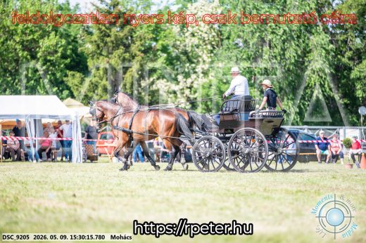 Mintakép 20260509-938