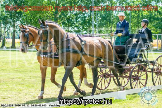 Mintakép 20260612-407