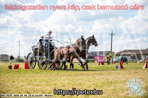 Mintakép 20260509-941