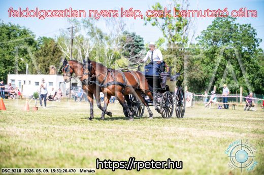 Mintakép 20260509-945