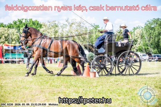 Mintakép 20260509-947