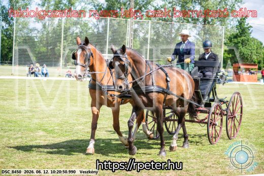 Mintakép 20260612-409