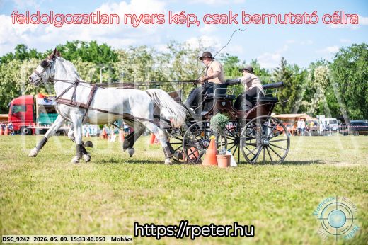 Mintakép 20260509-959