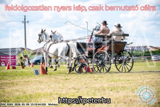 Mintakép 20260509-960