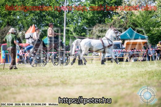 Mintakép 20260509-963