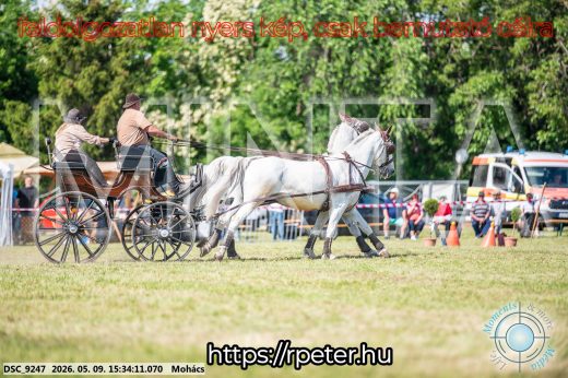 Mintakép 20260509-964