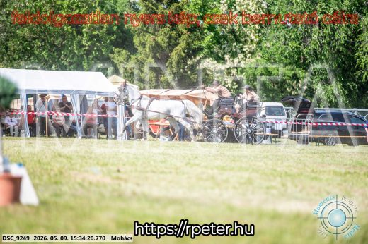 Mintakép 20260509-966