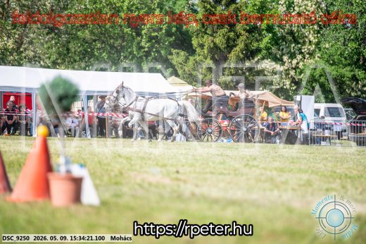 Mintakép 20260509-967