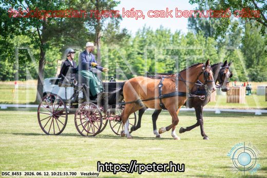 Mintakép 20260612-410
