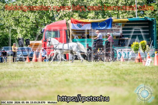 Mintakép 20260509-973