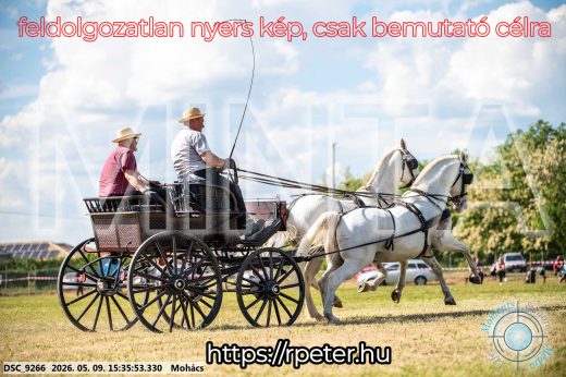 Mintakép 20260509-977