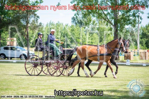 Mintakép 20260612-411