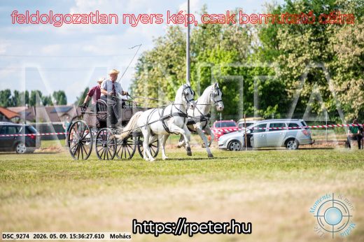 Mintakép 20260509-984