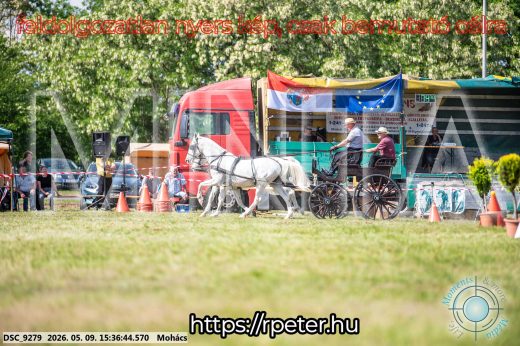 Mintakép 20260509-989
