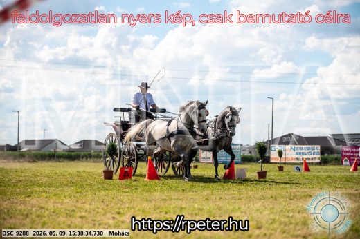 Mintakép 20260509-995