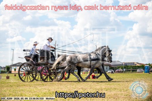 Mintakép 20260509-996