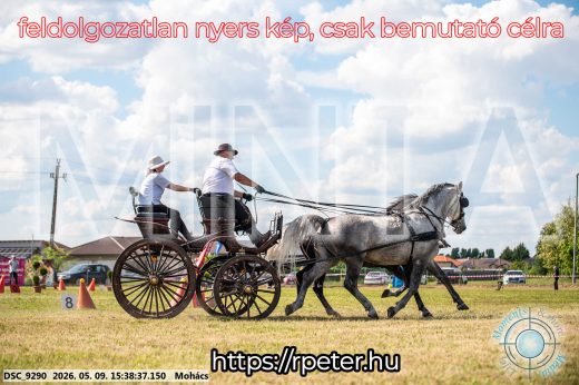 Mintakép 20260509-997