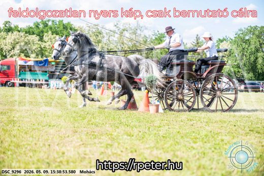 Mintakép 20260509-1003