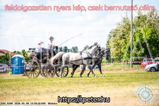 Mintakép 20260509-1004