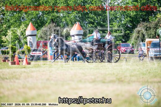 Mintakép 20260509-1010