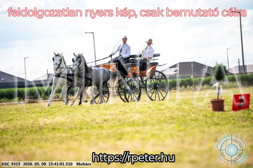 Mintakép 20260509-1015