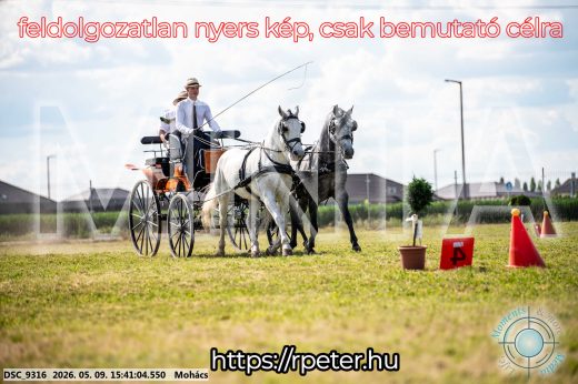Mintakép 20260509-1016