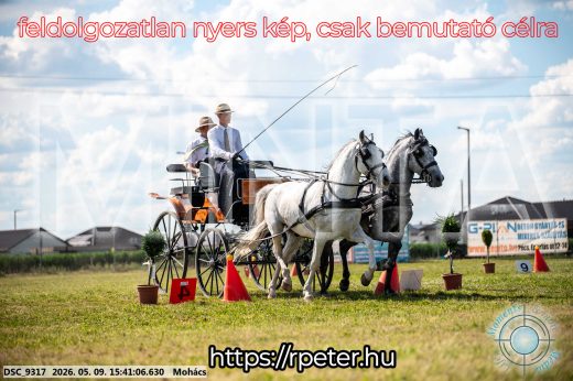 Mintakép 20260509-1017