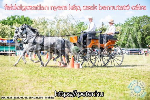 Mintakép 20260509-1023