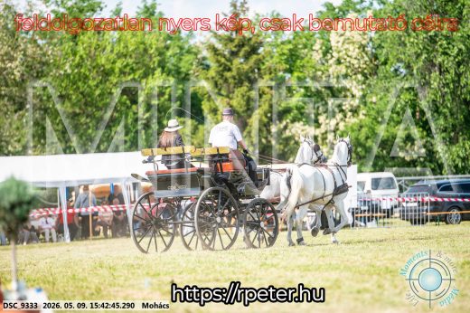 Mintakép 20260509-1027