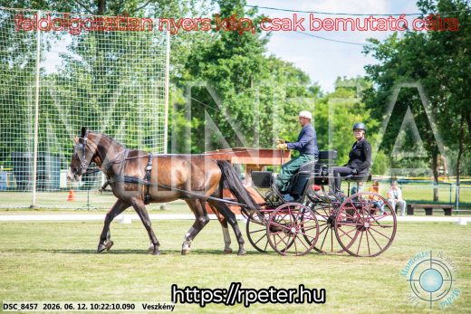 Mintakép 20260612-416