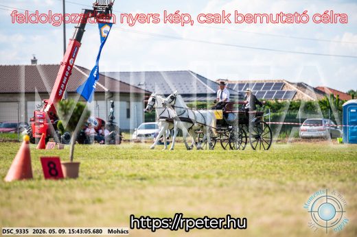 Mintakép 20260509-1029